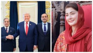 مریم نواز کا خراج تحسین: ایران، امریکا اور اسرائیل جنگ بندی میں پاکستان کی کامیابی تاریخی سنگِ میل