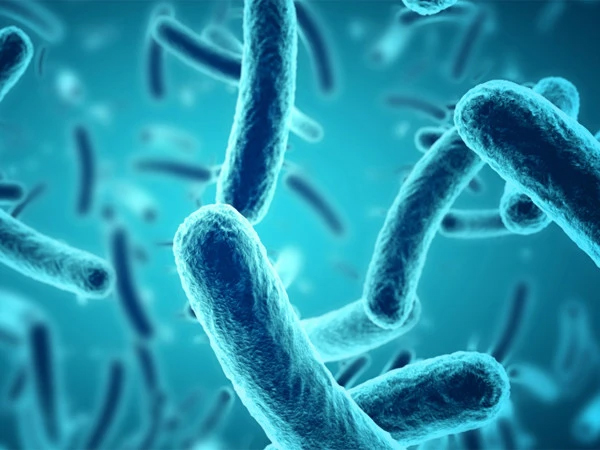 آنتوں کے بیکٹیریا سے میلانوما کے دوبارہ ہونے کے خطرے کی پیشگوئی ممکن: نئی تحقیق