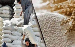 پنجاب میں آٹے کی قیمتیں بے قابو، فی کلو نرخ 180 روپے تک پہنچ گئے