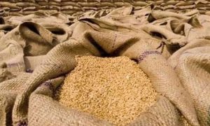 پنجاب اور خیبرپختونخوا میں گندم کی قیمتوں میں اضافہ، آٹے کی قیمتیں نسبتاً مستحکم